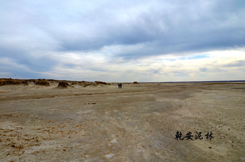 DSC_7342.JPG