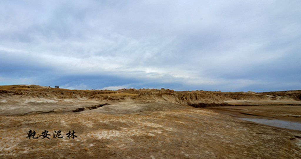 DSC_7359.JPG