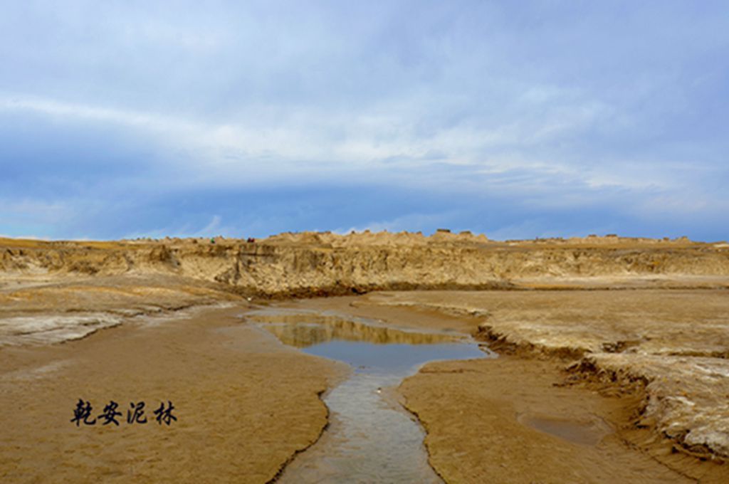 DSC_7365.JPG