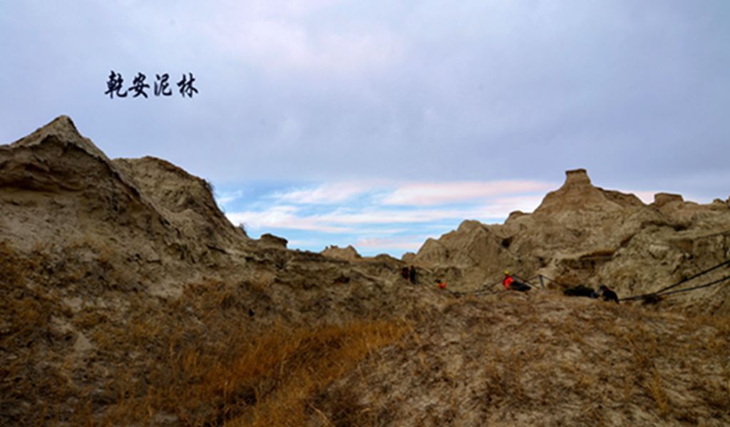 DSC_7431.JPG