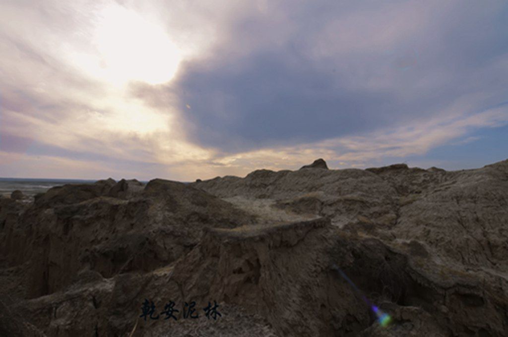 DSC_7469.JPG