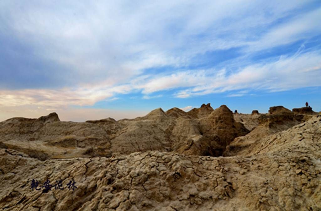 DSC_7467.JPG