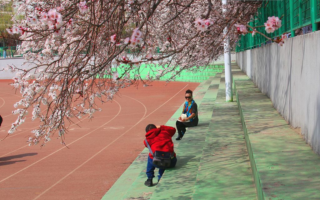 82.jpg
