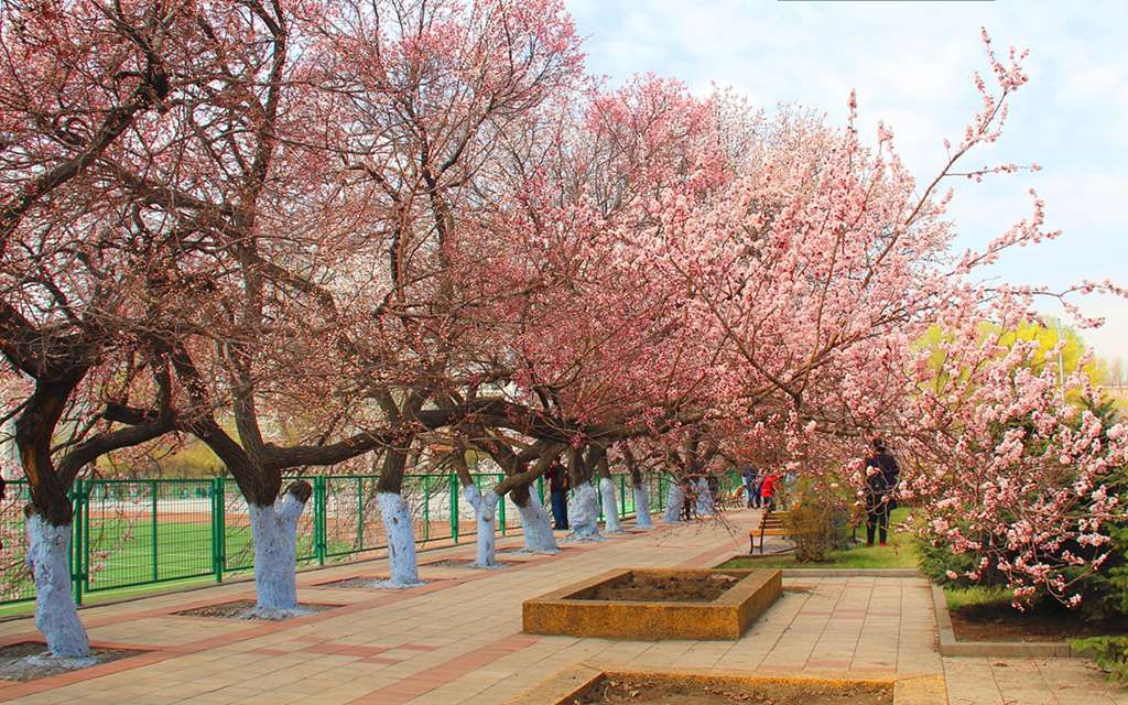 37.jpg