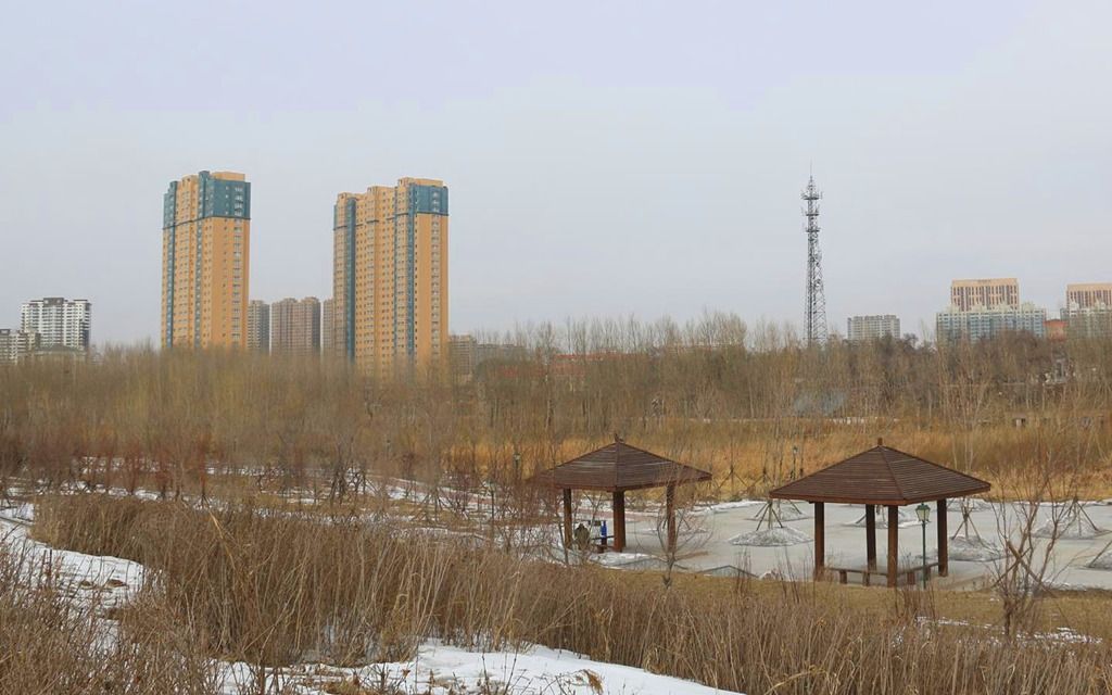 mtxx209.jpg