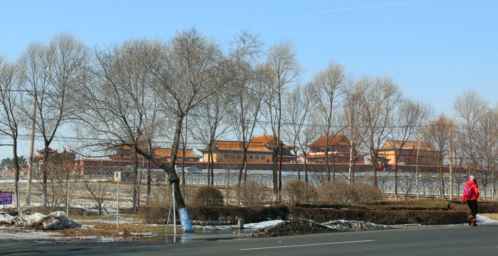 1115.jpg