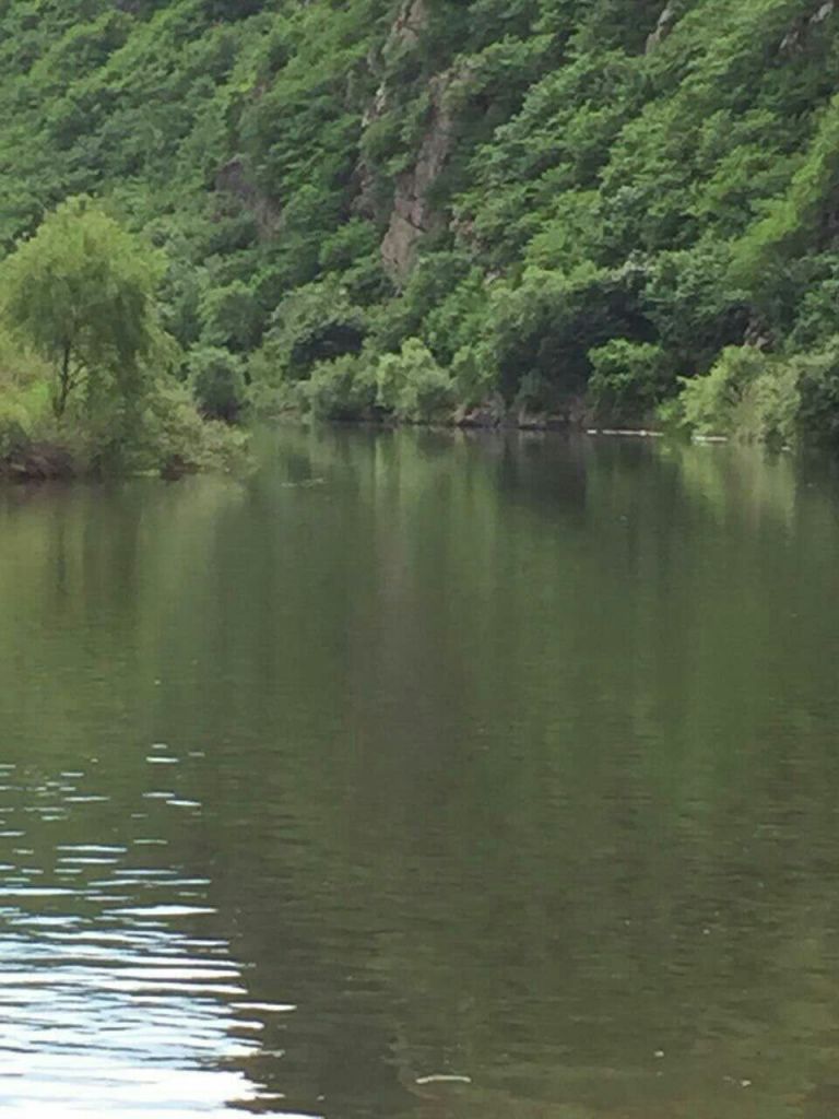QQͼƬ20160717221730.jpg