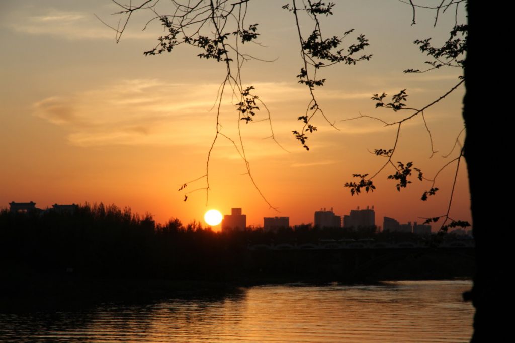 DPP_006.JPG