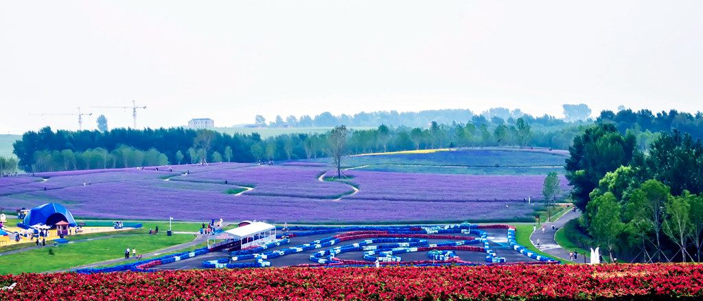 DSC_0982.JPG