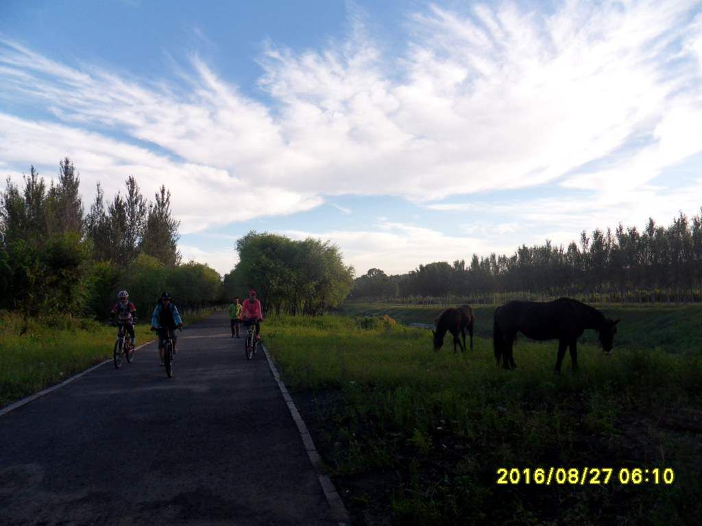 SDC16236_����.jpg
