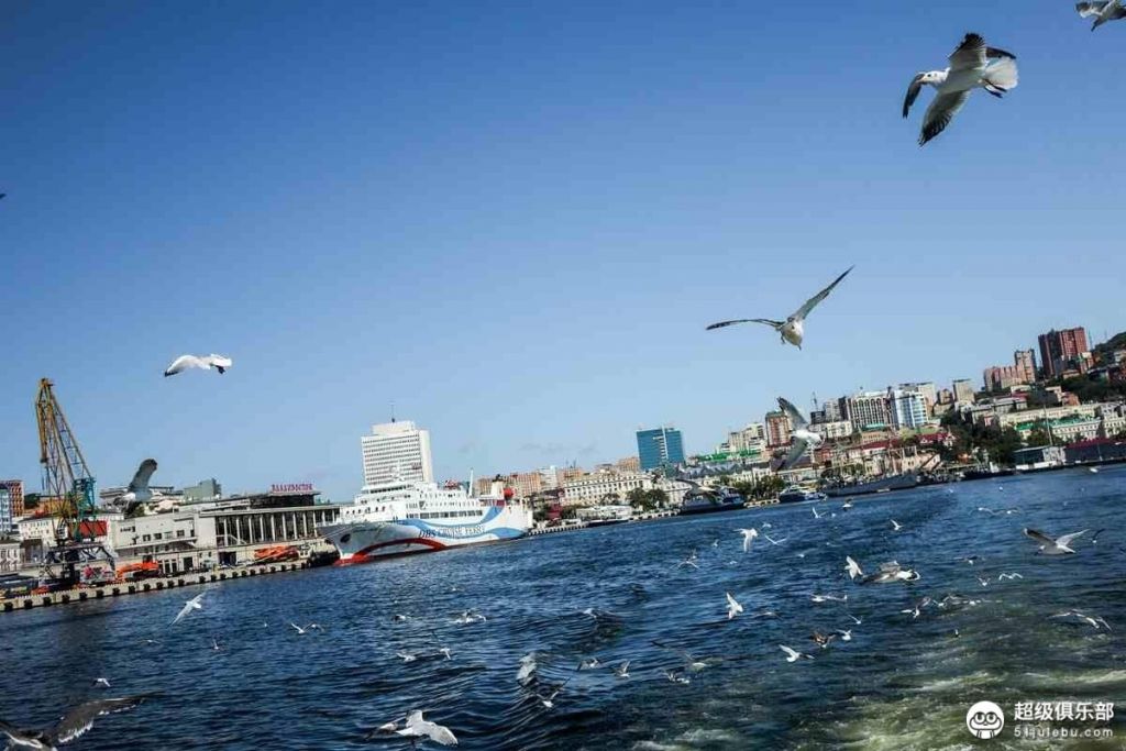 1823147b127a4a629759c7b2b7a001ff.jpg_w.jpeg