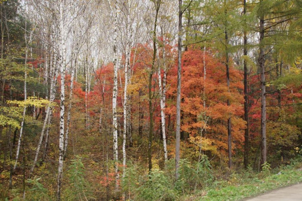 DSC00014.JPG