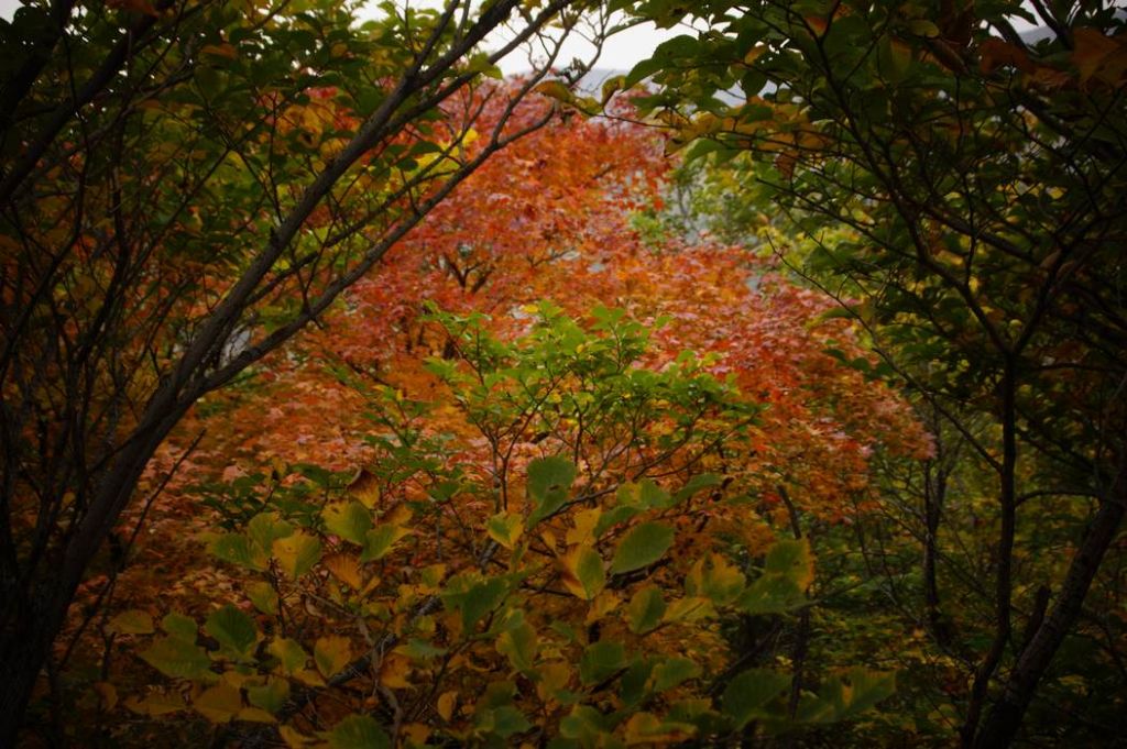 DSC00097.JPG