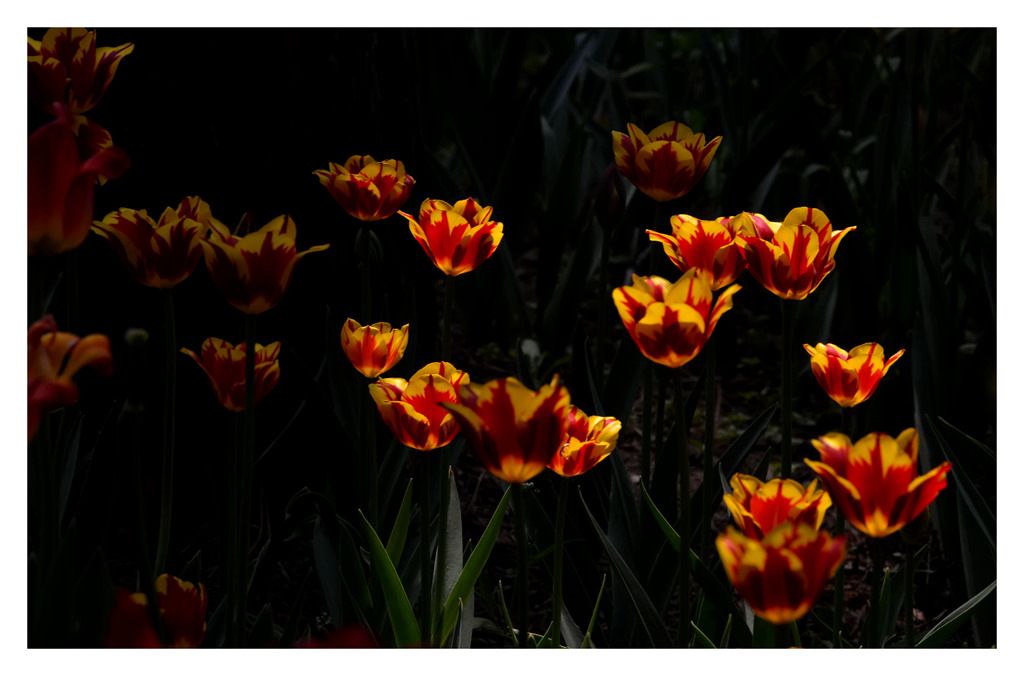 DSC_9046.JPG