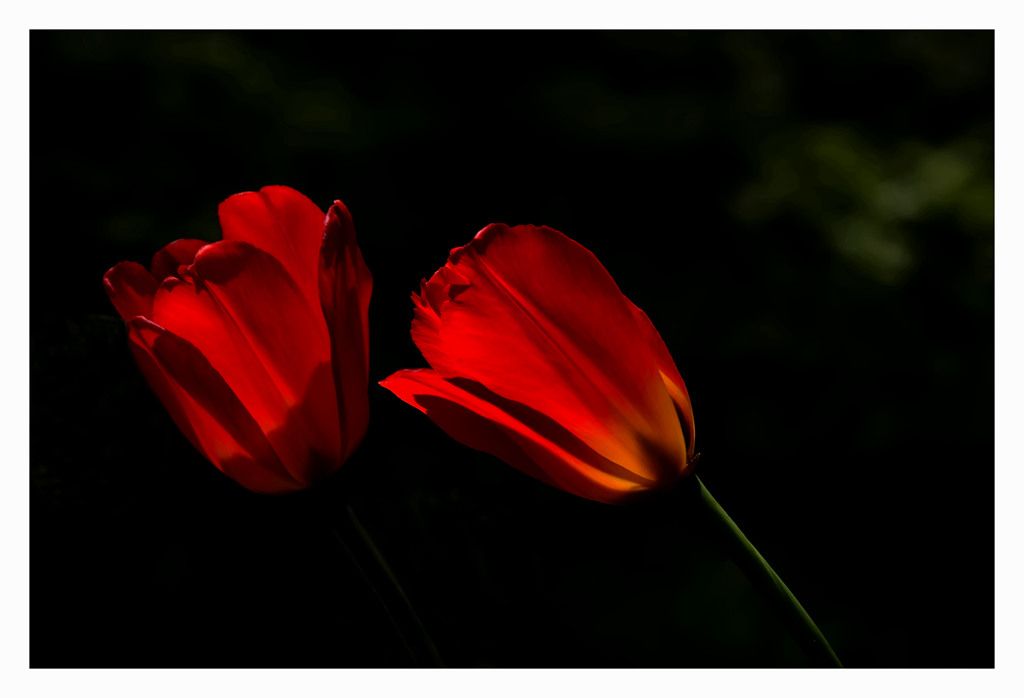 DSC_9077.JPG