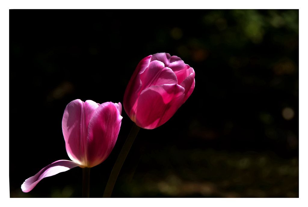 DSC_9080.JPG