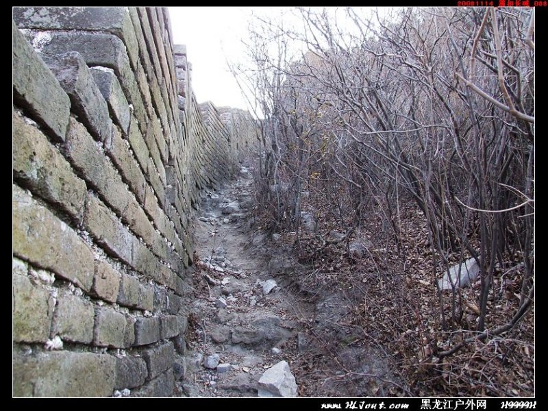 20081114_���۳���_088.jpg