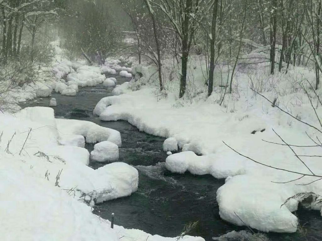 800582825363323857.jpg