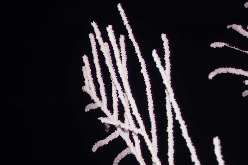 DSC08832.JPG