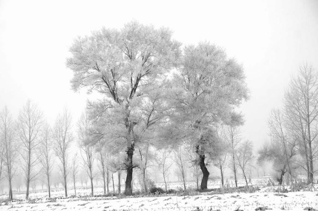 DSC09089_��ͼ��.jpg