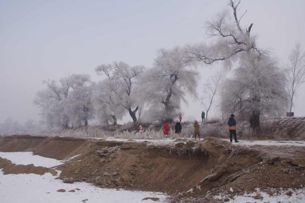 DSC09628.JPG