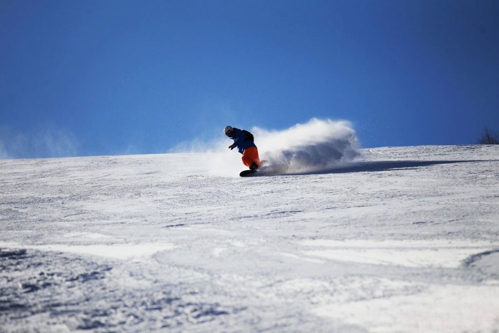 8888.jpg.thumb.jpg
