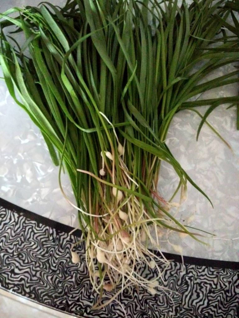 ΢��ͼƬ_20170501204304.jpg