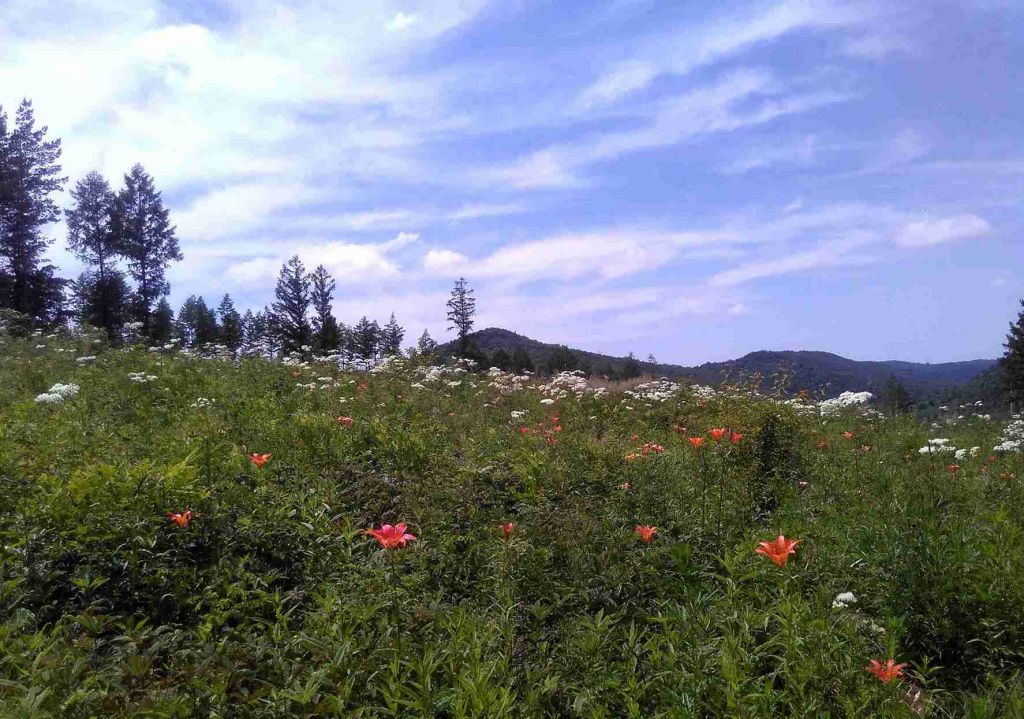 QQͼƬ20160729221509.jpg