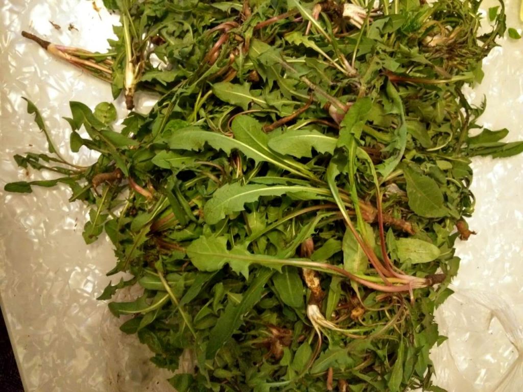 ΢��ͼƬ_20170501204404.jpg