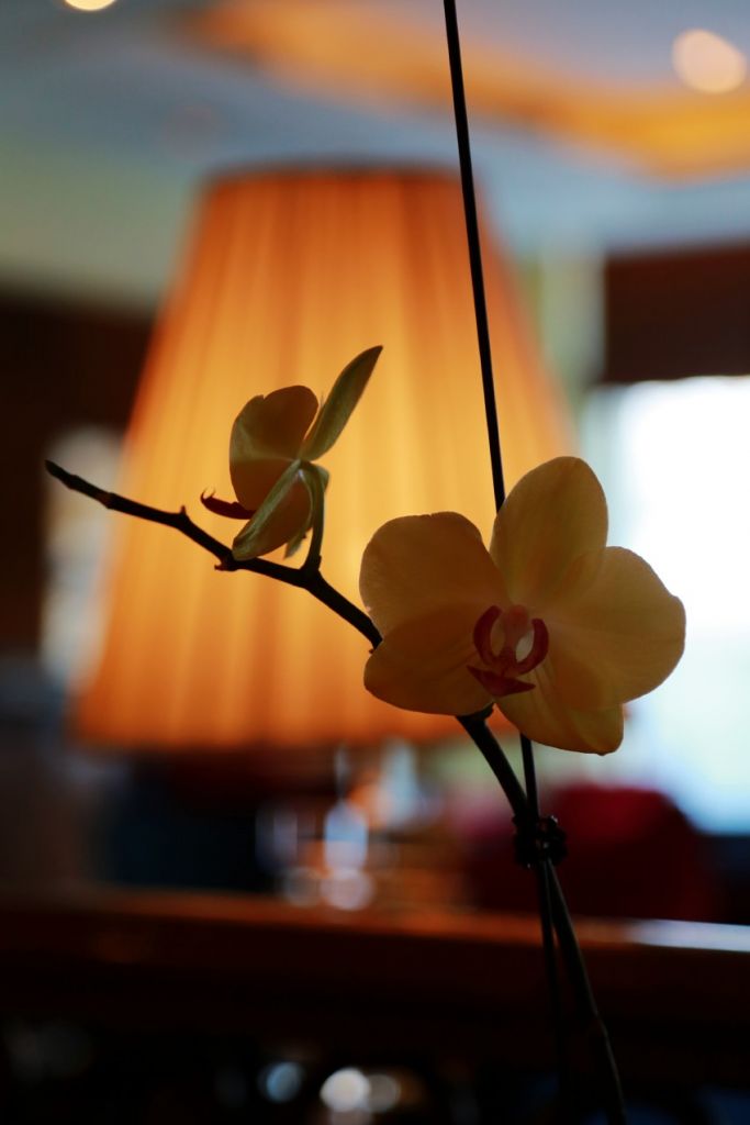 ��Ƭ 079_conew2.jpg