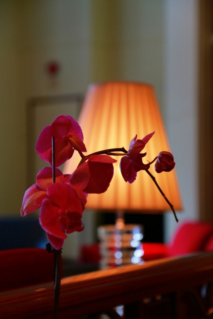 ��Ƭ 086_conew2.jpg