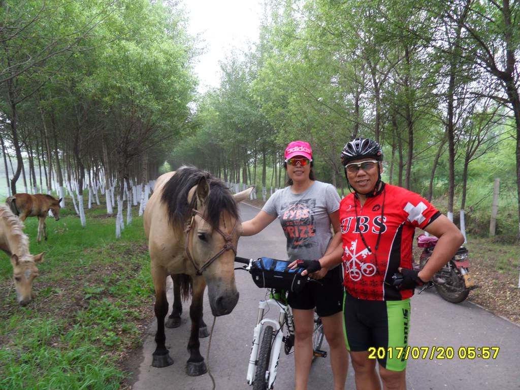 SDC11799_.jpg