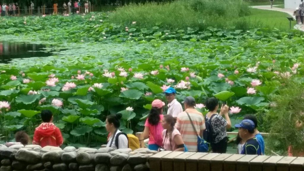 QQͼƬ20170721191614.jpg