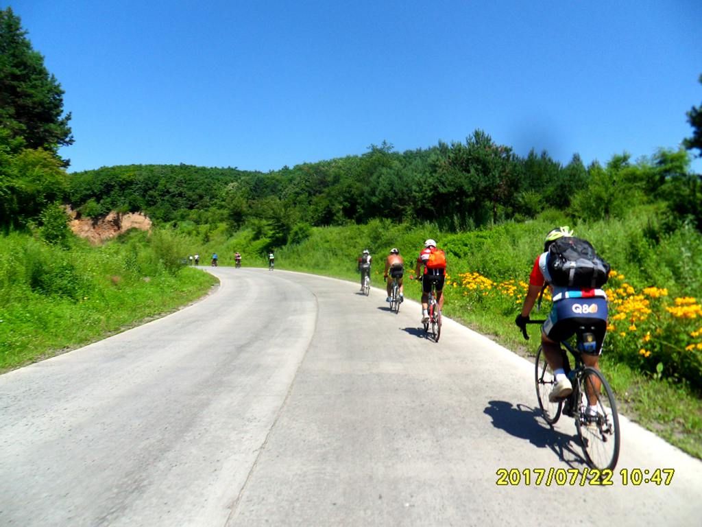 SDC12001_.jpg