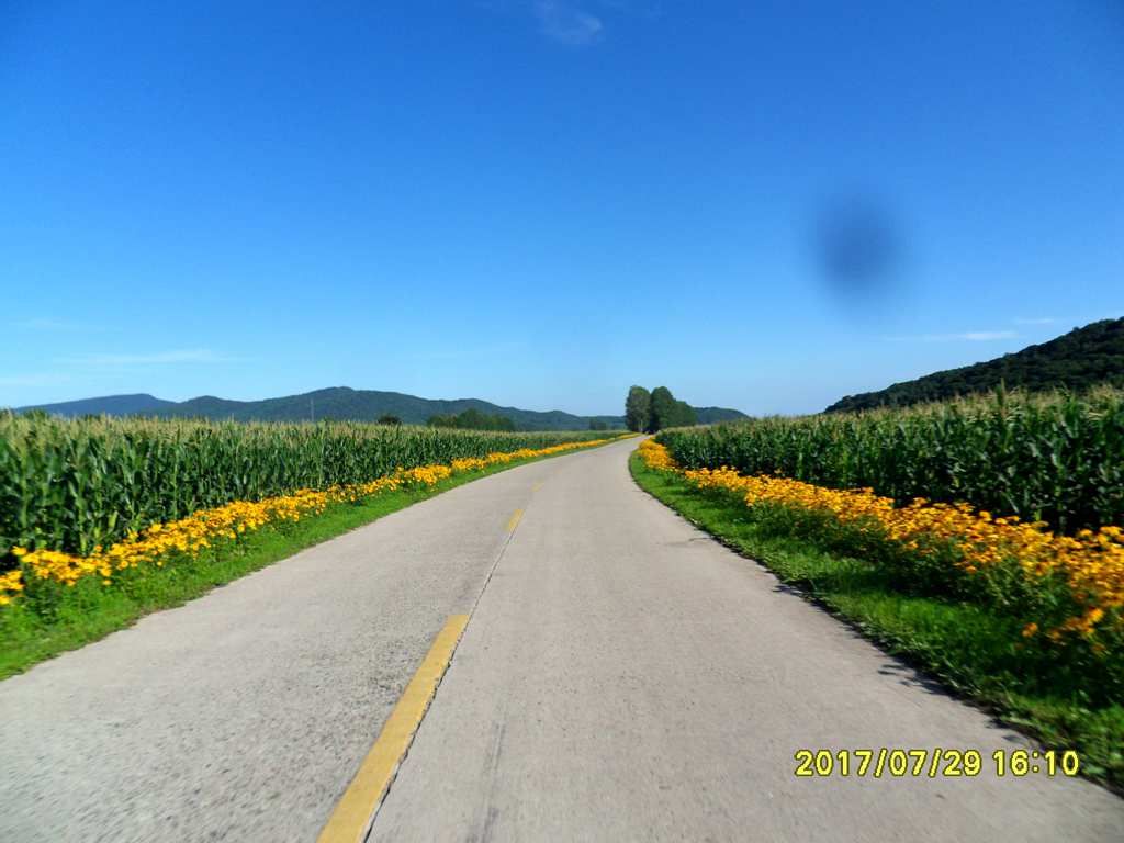 SDC12064_����.jpg