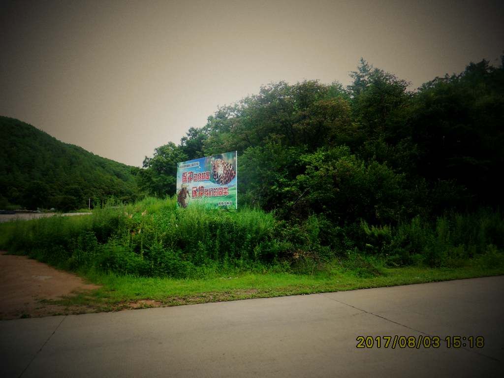 SDC12554_����.jpg