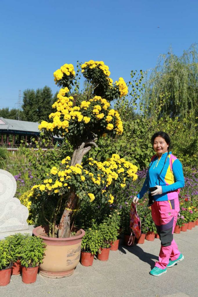 ��Ƭ 077_conew2.jpg