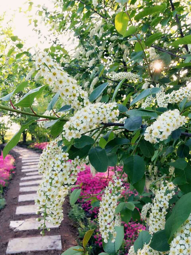 ΢��ͼƬ_20170609135820.jpg