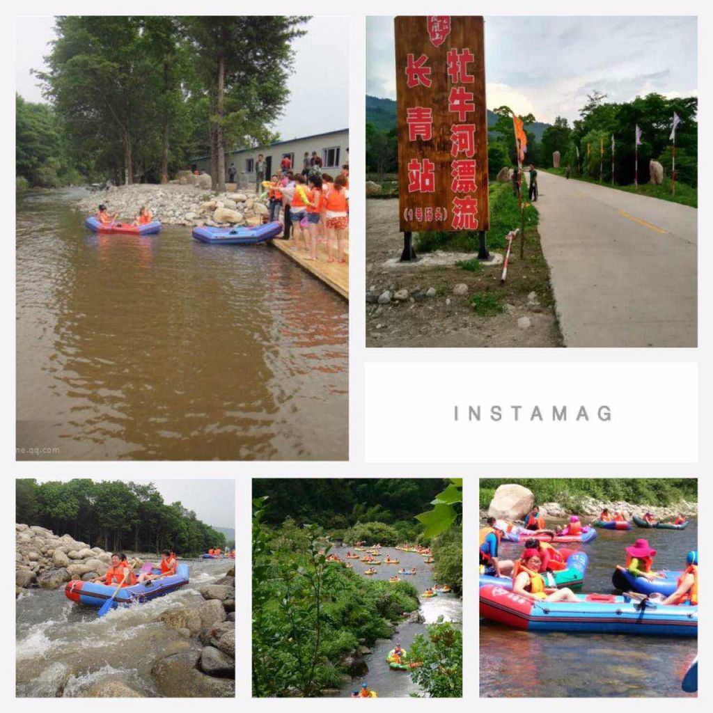 535598871198779733.jpg.thumb (1).jpg