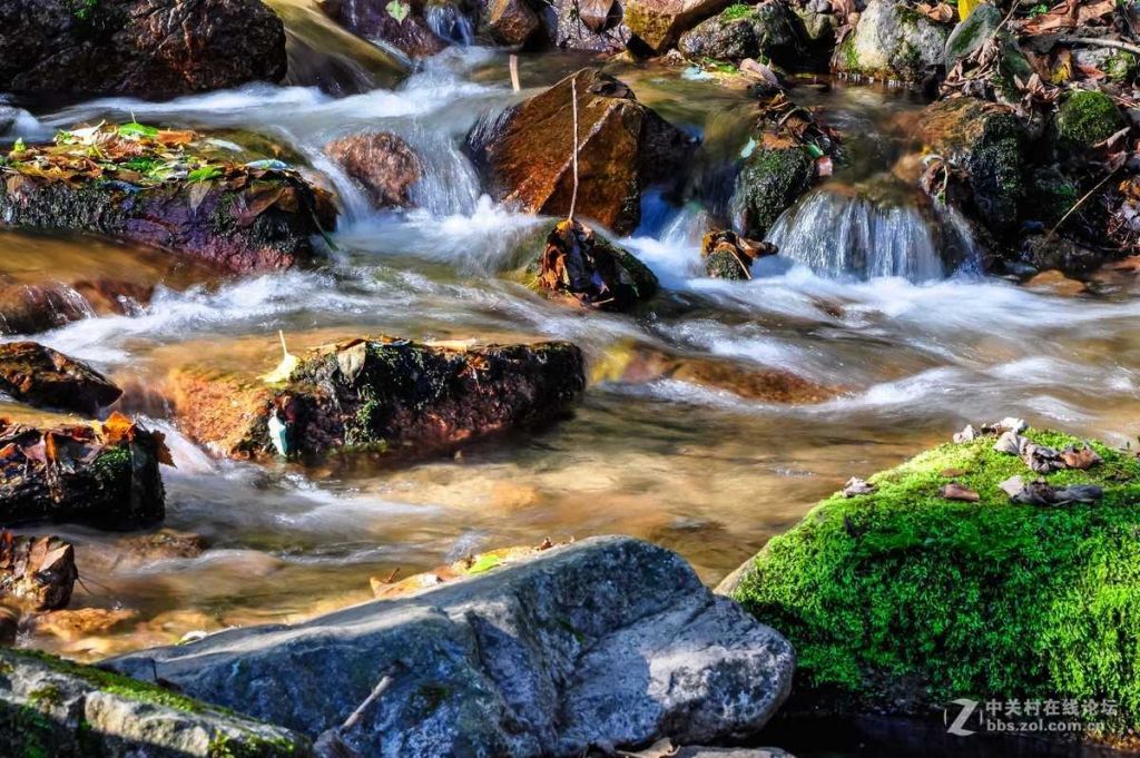 �����ٲ�1 (1).jpg