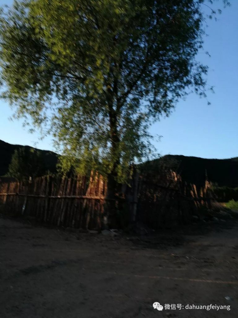 ΢��ͼƬ_20180808111100.jpg