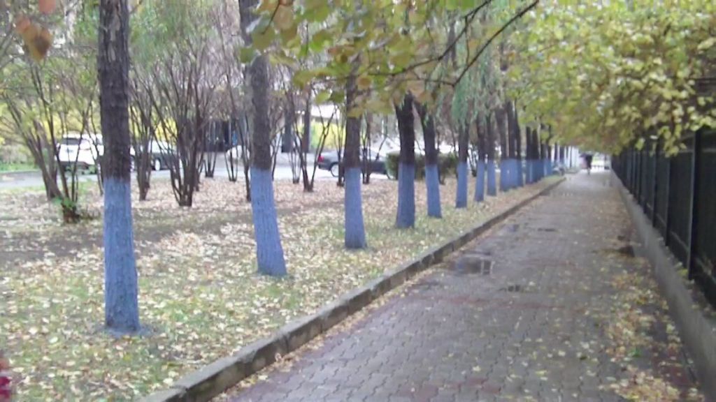 QQͼƬ20181024085936.jpg