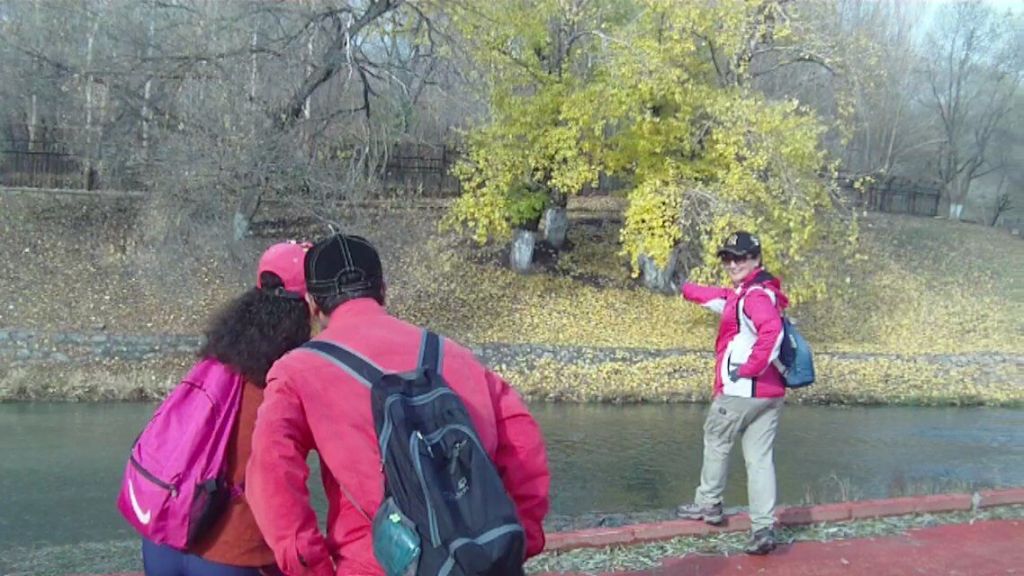 QQͼƬ20181028121351.jpg