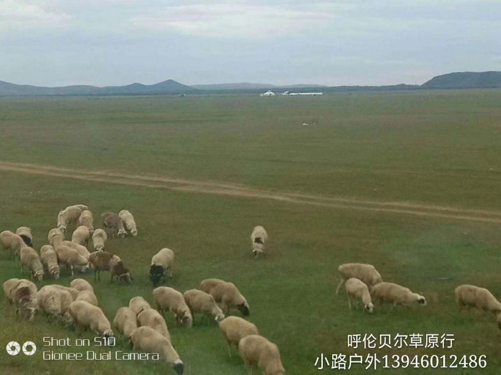 QQͼƬ20190520132857.jpg