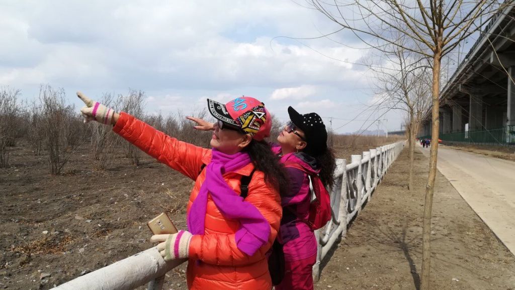 QQͼƬ20190409233646.jpg