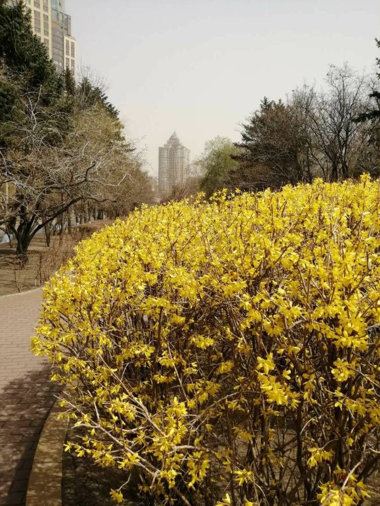 QQͼƬ20190416211237.jpg