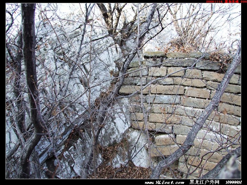 20081114_���۳���_096.jpg