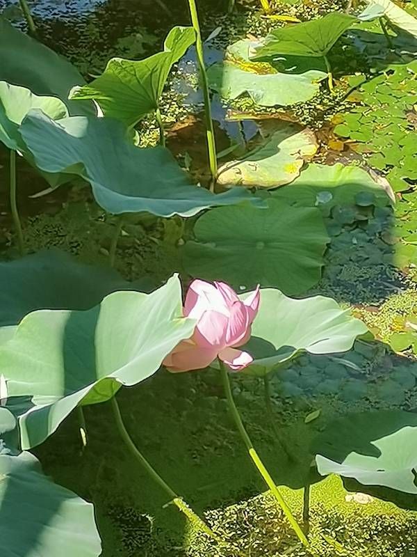 ΢��ͼƬ_20220820190312.jpg