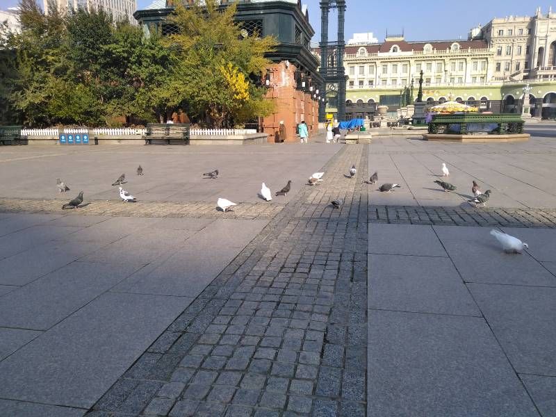 ΢��ͼƬ_20221016133118.jpg