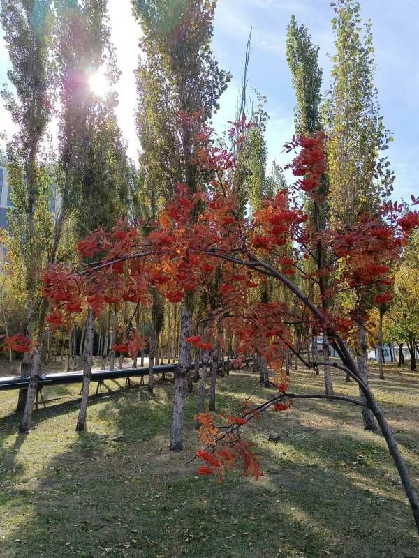 ΢��ͼƬ_20221022164438.jpg